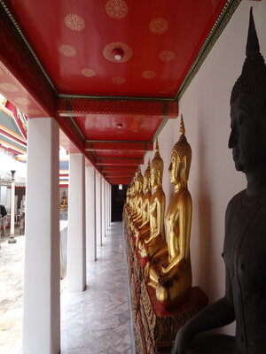 cover image of La Thaïlande